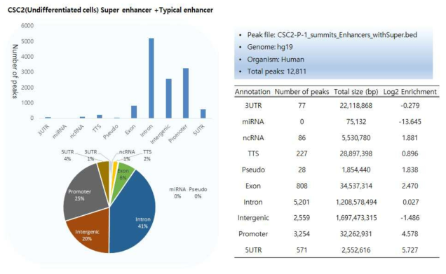미분화 암줄기세포에서의 Super enhancer annotation