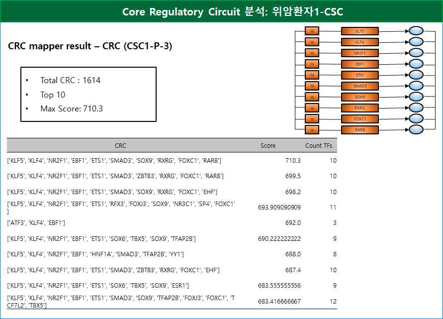 Core Regulatory Circuit 분석: 위암환자1-CSC
