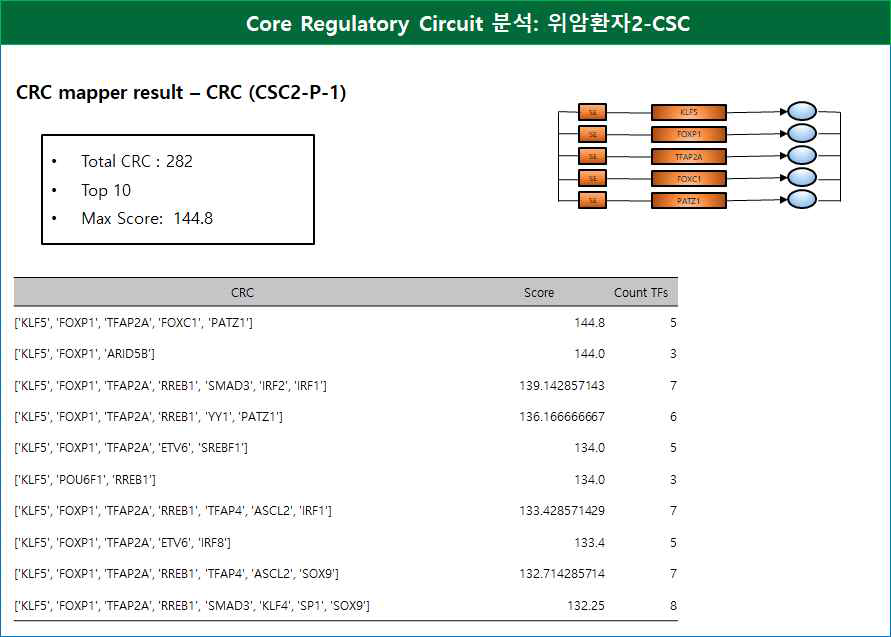 Core Regulatory Circuit 분석: 위암환자2-CSC