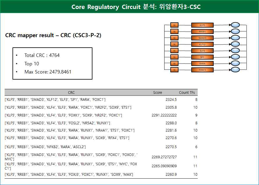 Core Regulatory Circuit 분석: 위암환자3-CSC