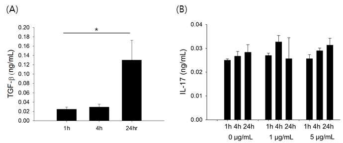 (A) BEAS-2b 세포에 Insulin 처리시 TGF-β 농도 증가 (B) Insulin 농도와 시간을 다양하게 BEAS-2b 세포에 처리하여 측정한 IL-17 농도