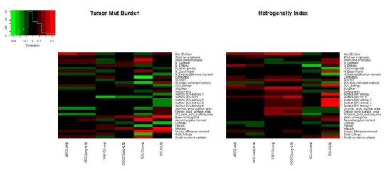 유전체 특성과 측정된 PET parameter들 사이에 연관성 (Mut, mutation burden)