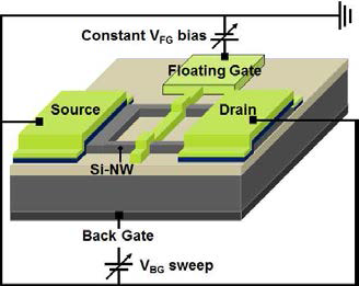 Schematic of SiNW FETs in dual gate (DG) operation