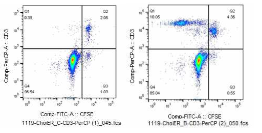 Bacillus mannanilyticus 추출 단백질을 이용한 환자 T cell proliferation assay, Control=좌측, Bacteria=우측. 우측에서 CFSE 감소의 세포 분열