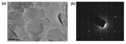 (a) 박리화된 ZnCr-LDH 나노시트의 전자투과현미경 영상 및 (b) 나노시트의 SAED 패턴