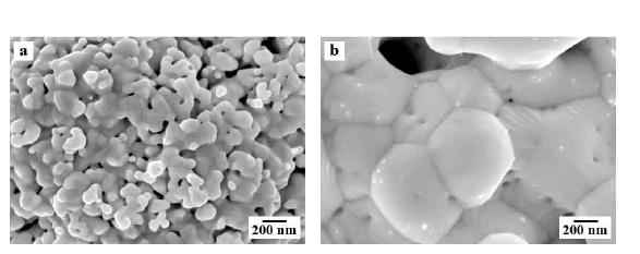 SEM images of (a) W and (b) W-Ni powder, H2-reduced at 1000oC for 1 h