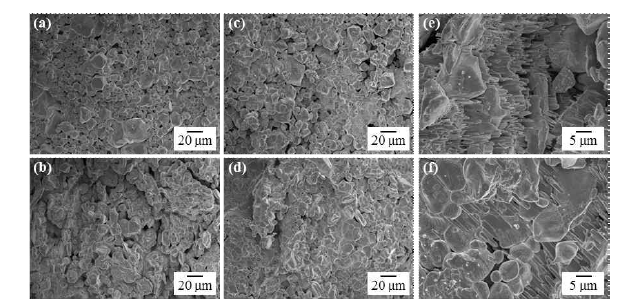 SEM micrographs of W powder compacts, heated to 1500℃ with nano-sized W powders of (a) 0%, (b) 5%, (c) 10%, (d) 30%, magnified image of (e) 5% and (f) 30%