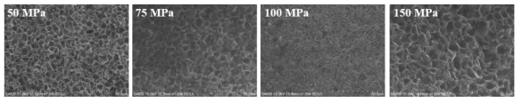 SEM image of W specimens, sintered at 1500℃ with various applied pressure