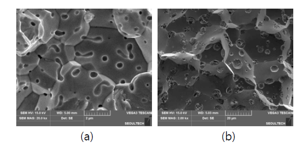 SEM images for the fracture surfaces of (a) W and (b) W-Ni specimen, sintered at 1500℃