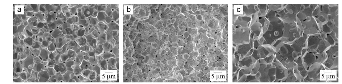 SEM images of the sintered W, prepared by (a) SPS at 1500℃, MPC-SPS at (b) 1500℃ and (c) 1600℃