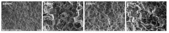 SEM images of sintered W specimens using 1.22 ㎛ W powders