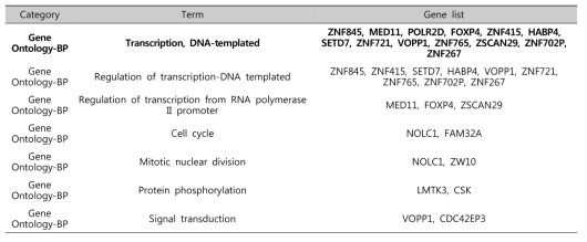 Diva siRNA에 의해 A2780과 SKOV3에서 동시에 발현이 증가한 유전자의 Gene ontology 분석 결과