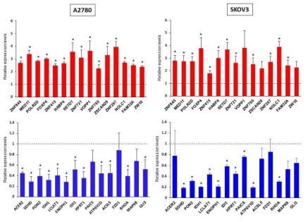 qPCR을 통한 RNA-Sequencing 결과 검증 (빨간색: 증가, 파란색: 감소)
