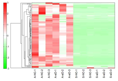 Heat map of metabolome profiles