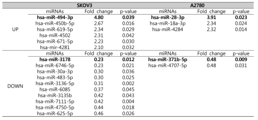A2780과 SKOV3 세포에서 Diva siRNA에 의해 발현이 증가하거나 감소한 miRNA 목록
