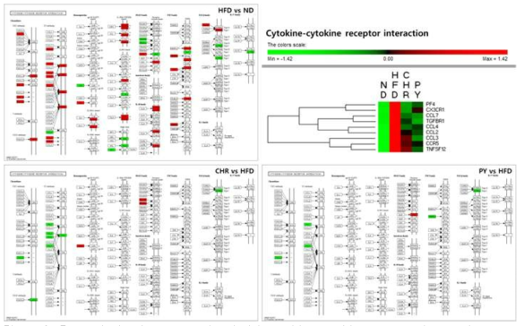 Transcriptional pattern related with cytokine-cytokine receptor interaction