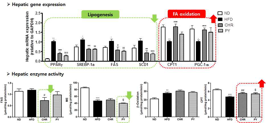 Hepatic gene expression & enzyme activity