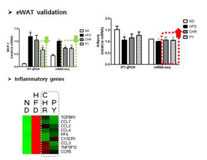 Inflammatory genes