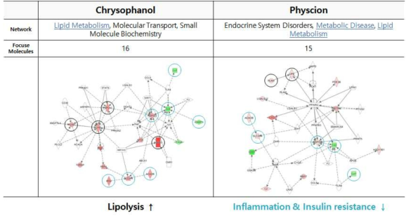 Gene network analysis using Ingenuity Pathway Analysis (IPA)