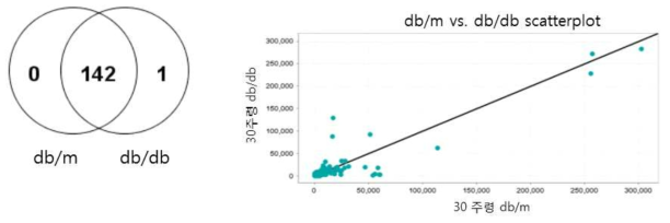 대조군(db/m)과 db/db 대뇌조직 ELV의 단백체 분석 결과. 대부분의 단백질이 두 군 모두에서 발견되었으며, 발현 차이를 보임. BHLHE22 (Basic helix-loop-helix domain containing, class B5) 단백질만이 db/db ELV에서 특이적으로 관찰됨