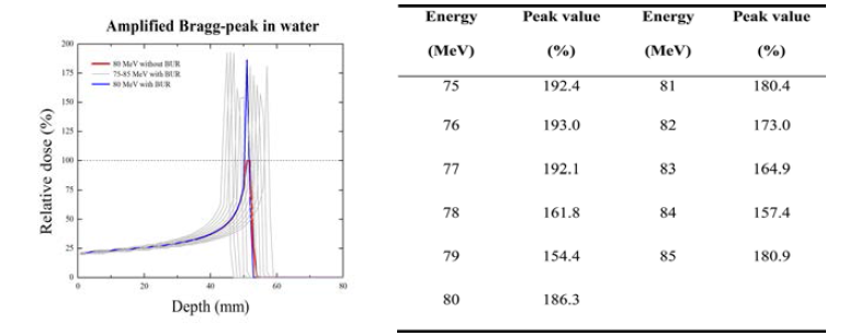 (오른쪽): 깊이선량백분율(PDD)에서 최대 선량값의 증폭. 빨간색 선은 붕소 표적 영역 (BUR)이 없는 팬텀에서 양성자의 브래그 피크 곡선임. 파란 선은 피크 통합 선량 점이 BUR에 위치한 경우 증폭된 브래그 피크 곡선을 보여줌. 회색 선은 다양한 양성자 빔 에너지 (75 MeV에서 85 MeV까지)의 증폭된 브래그 피크 곡선임. (왼쪽): 양성자 빔 에너지에 따라 증폭된 브래그피크의 최대값. 붕소 표적 영역 (BUR)이 없는 80 MeV 양성자 빔을 통한 일반적인 브래그 피크의 최대값을 100%로 함