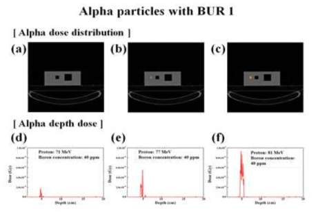 양성자 빔의 에너지별로 붕소화합물 집적범위 1 (BUR 1)에서 발생하는 알파 입자 (a),(d): 71 MeV, (b),(e): 77 MeV, (c),(f): 81 MeV