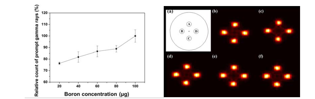 (가) 붕소화합물에 따른 즉발감마선의 발생비율 (나) 붕소화합물에 따른 즉발감마선 영상화의 결과 (a): 모사된 팬텀의 모식도 (b): 20 μg, (c): 40 μg, (d): 60 μg, (e): 80 μg, (f): 100 μg