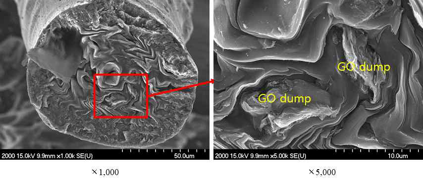 SEM; 그래핀산화물 (10wt%) 2000˚C 열처리 섬유의 단면 이미지