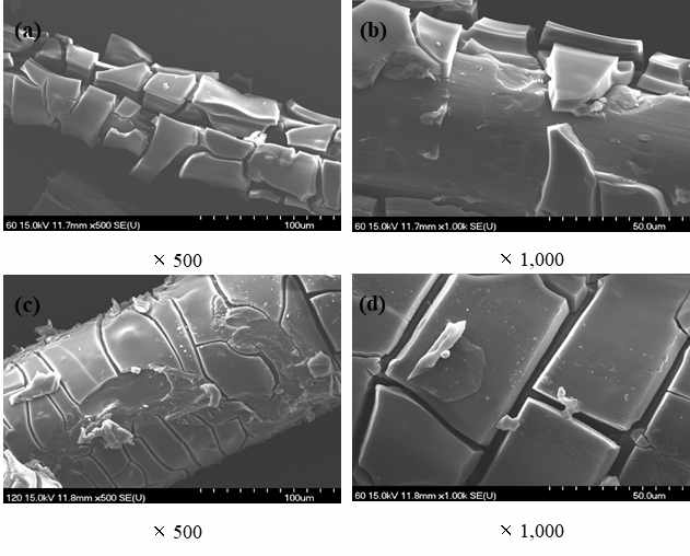 SEM; 그래핀산화물 (10wt%) 용융방사 섬유를 THF 에칭한 섬유의 표면 (a), (b); 퀴놀린 에칭한 섬유의 표면 (c), (d)