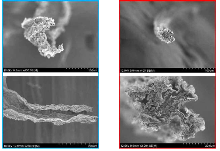 일반습식공정 및 연속방사 그래핀산화물 액정섬유의 미세조직 분석