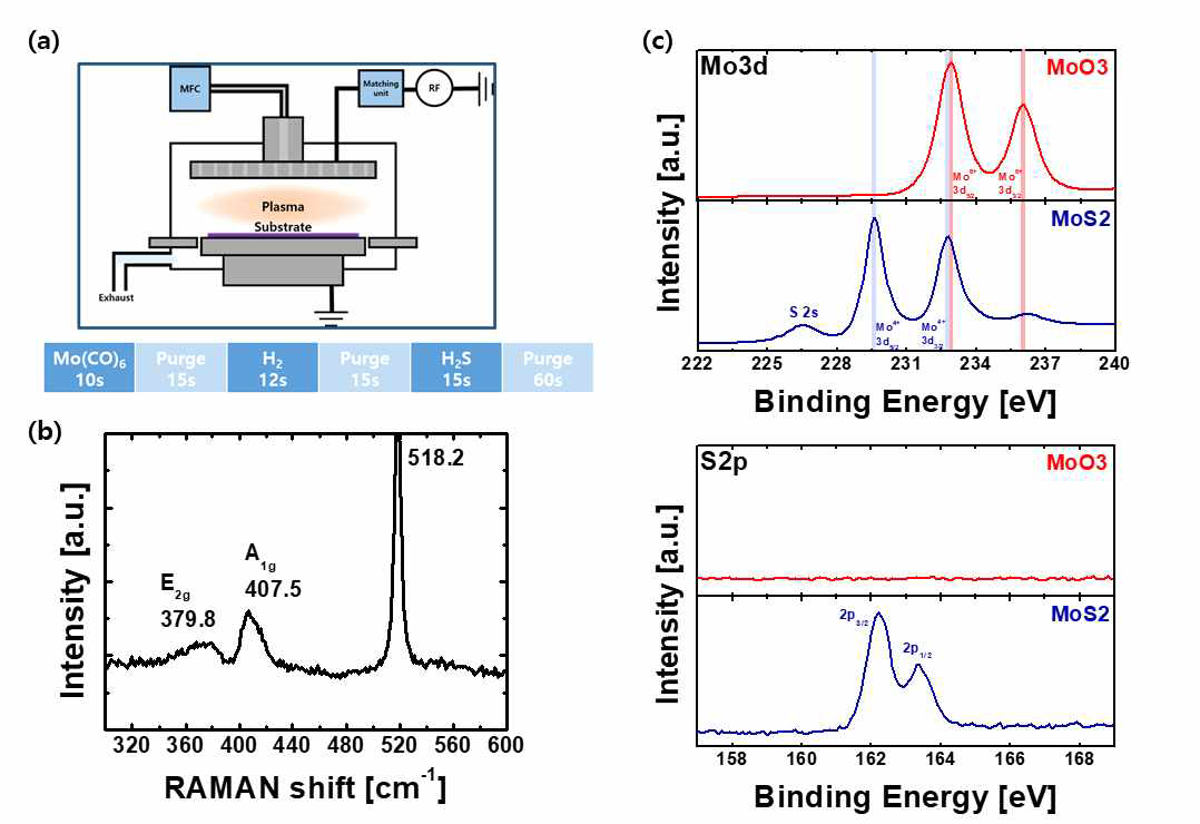 2step plasma 공정 개발을 통한 MoS2 증착기술 개발 (a) 장비 모식도 및 cycle 구성도, (b) Raman 및 (c)XPS 분석 결과