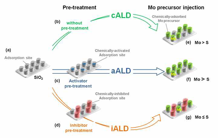 전처리를 통한 흡착 site수의 변화 및 이를 통한 grain size 엔지니어링의 모식도