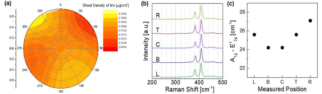 6inch level uniformity 확보, (a) XRF 분석 결과 및 (b, c)Raman 분석 결과