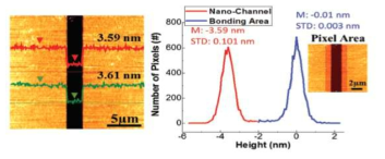 제작된 나노채널 위에 그래핀의 직접 전사 이후, 표면 러프니스 측정