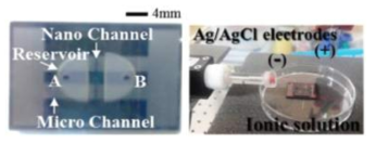 제작된 그래핀 나노 채널 칩 및 Ag/AgCl 전극을 활용한 patch clamp 실험 수행
