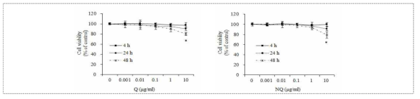HepG2 간세포에서 Q 및 NQ의 농도별, 시간별 세포 독성 평가