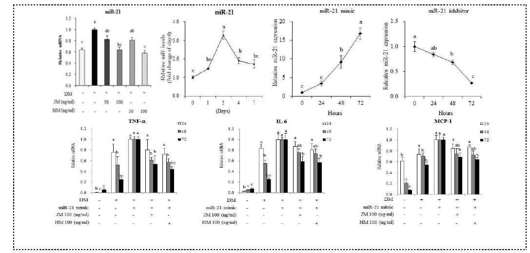 지방세포에서 miRNA-21 mimic 혹은 inhibitor 발현 양상 및 ME의 염증반응 억제효과