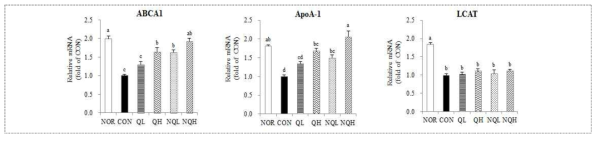 HDL 합성 관련 유전자 ABC1 (A), ApoA-1 (B), LCAT (C) 발현 변화