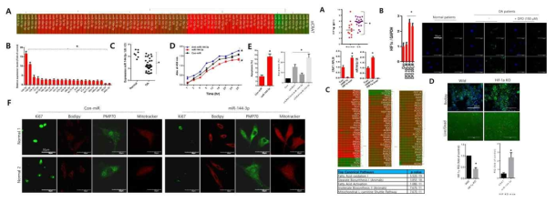 CRAT-miR-144-3p-Hif1α의 연계성