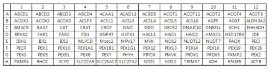 Peroxisome array plate 모식도