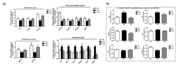 (A) Expression of lipid metabolism related genes. (B) Hepatic lipid-regulating enzyme activities. The data are presented as mean±s.e. abcMeans not sharing a common letter are significantly different among the groups at p<0.05