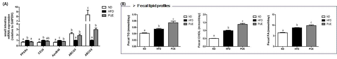 (A) Expression of lipid metabolism-related genes in small intestine.  (B) Fecal lipid profiles. The data are presented as mean±s.e. abcMeans not sharing a common letter are significantly different among the groups at p<0.05