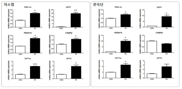 Effect of extract of Perilla frutescens var.acuta (Odash.) Kudo on expression of brown fat-specific genes in 3T3-L1 adipocytes. Data are Mean±S.E. Values are significantly different from the Control group according to Student's t-test: *p<0.05, **p<0.01, ***p<0.001. PF, Perilla frutescens var.acuta (Odash.) Kudo