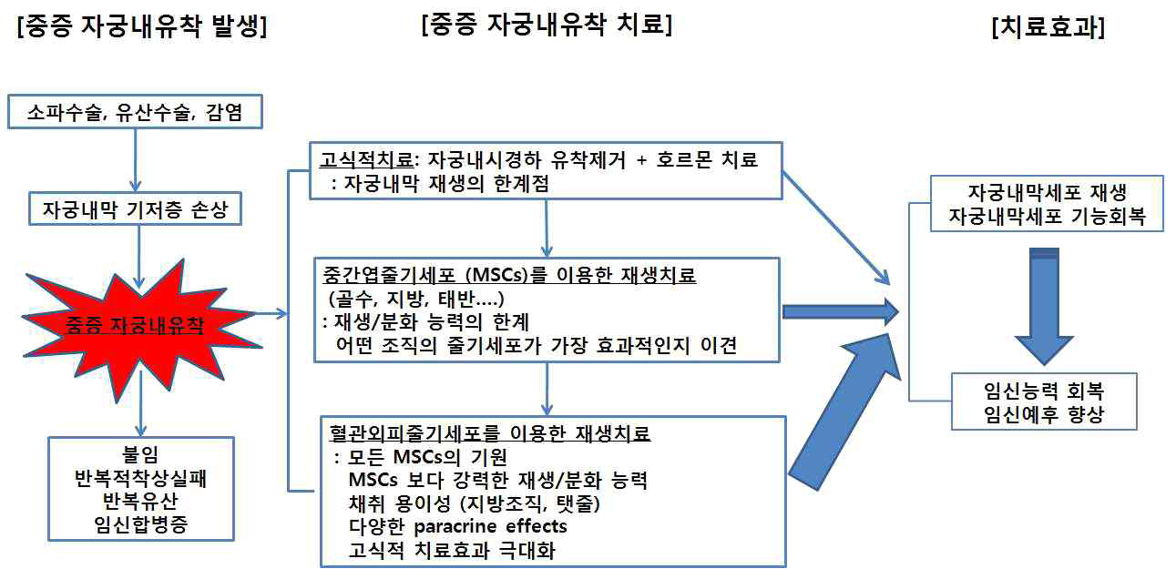 중증 자궁내유착의 발생, 치료와 치료효과