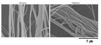 다양한 용매를 사용하여 원심방사된 PVAc 나노섬유의 FE-SEM 사진
