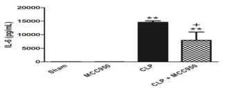 Effect of MCC950 on IL-6 following CLP in mice. Mice were injected i.p. with vehicle, MCC950 (10 or 20 mg/kg) immediately after CLP. Blood sample was collected 6 h after CLP. Significantly different (*P<0.05, **P<0.01) from sham. Significantly different (+P<0.05) from CLP