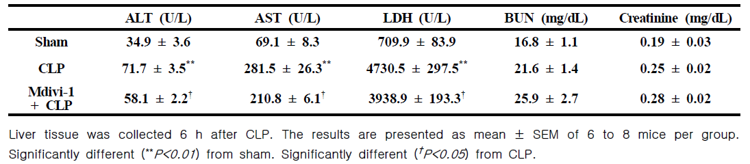 Effect of Mdivi-1 (50 mg/kg) on multiple organ dysfunction syndrome during early phage of sepsis