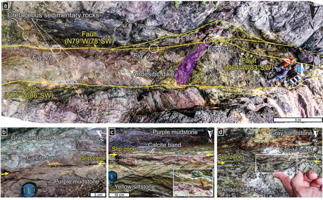(a) 단층대는 서북서-동남동 방향의 단층들로 이루어져 있으며, 백악기 퇴적암층과 안산암질 암맥을 절단함. (b-d) 약 1-3 cm 폭의 단층들은 칠곡층에 해당하는 회색 사암, 자색 이암, 황색 실트암과 안산암질 암맥 사이에서 관찰됨. 대부분의 단층의 미끌림면(노란색 화살표)들은 점토질 단층비지대과 방해석띠를 수반하며, 거의 수평에 가까운 단층조선(c의 삽입사진)이 관찰됨