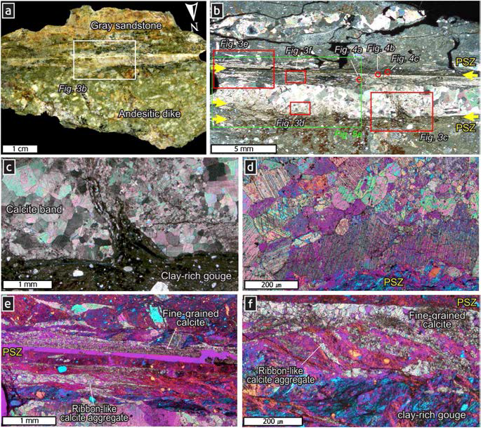 (a) 안산암질 암맥과 회색사암 사이에서 발달하는 약 1 cm 폭의 미끌림대와 이에 나란히 관입한 약 0.4 cm 폭의 방해석띠를 보여주는 슬랩이미지. (b) 방해석 띠의 양쪽 경계부를 따라 1 mm 이하 폭의 주미끌림대(PSZ; 노란화살표)가 발달함(XPL). (c) 방해석띠 내부를 주입하는 점토질 단층비지(XPL). (d) PSZ 주변에서 관찰되는 방해석 입자들과 물결모양의 단열들(XPL, 석고판 삽입). (e) PSZ 주변에서 관찰되는 세립상 (fine-grained) 및 리본형 (ribbon-like) 방해석결정 집합체들 (calcite aggregates; XPL, 석고판 삽입). (f) 리본형 및 작은 입자상 방해석 결정집합체들 간 경계부(XPL, 석고판 삽입)