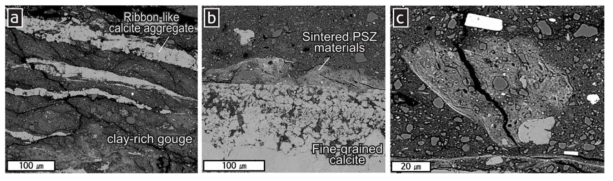 (a) 점토질 단층비지(어두운 회색)의 내부 엽리와 교호하는 리본형 방해석 집합체(옅은 회색)(SEM-BSE). (b) PSZ 내부 점토질 단층비지와 세립상 방해석 집합체 경계부에서 관찰되는 소결된 (sintered) PSZ 물질들(SEM-BSE). (c) 소결된 PSZ 물질이 암편형태로 분리된 채로 포획되어 있다(SEM-BSE)